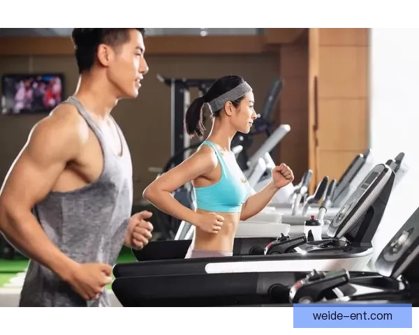 体育竞猜入口全攻略新手到高手必看的赛事分析与投注技巧指南